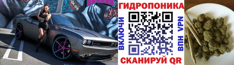 Купить где  Щёлково  Конопля гибрид 